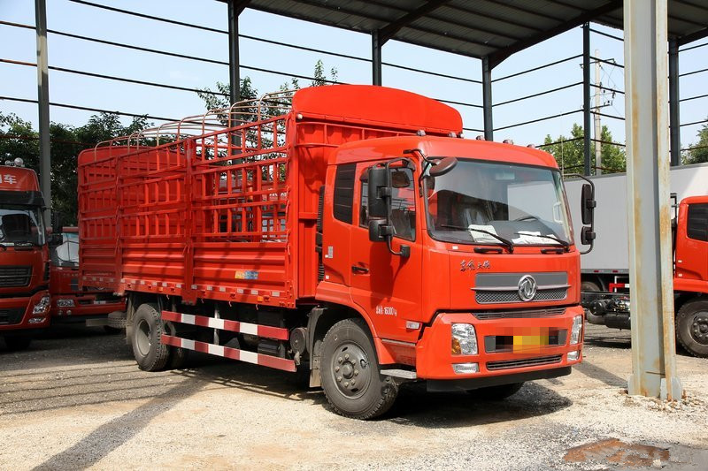 LAND TRANSPORTATION